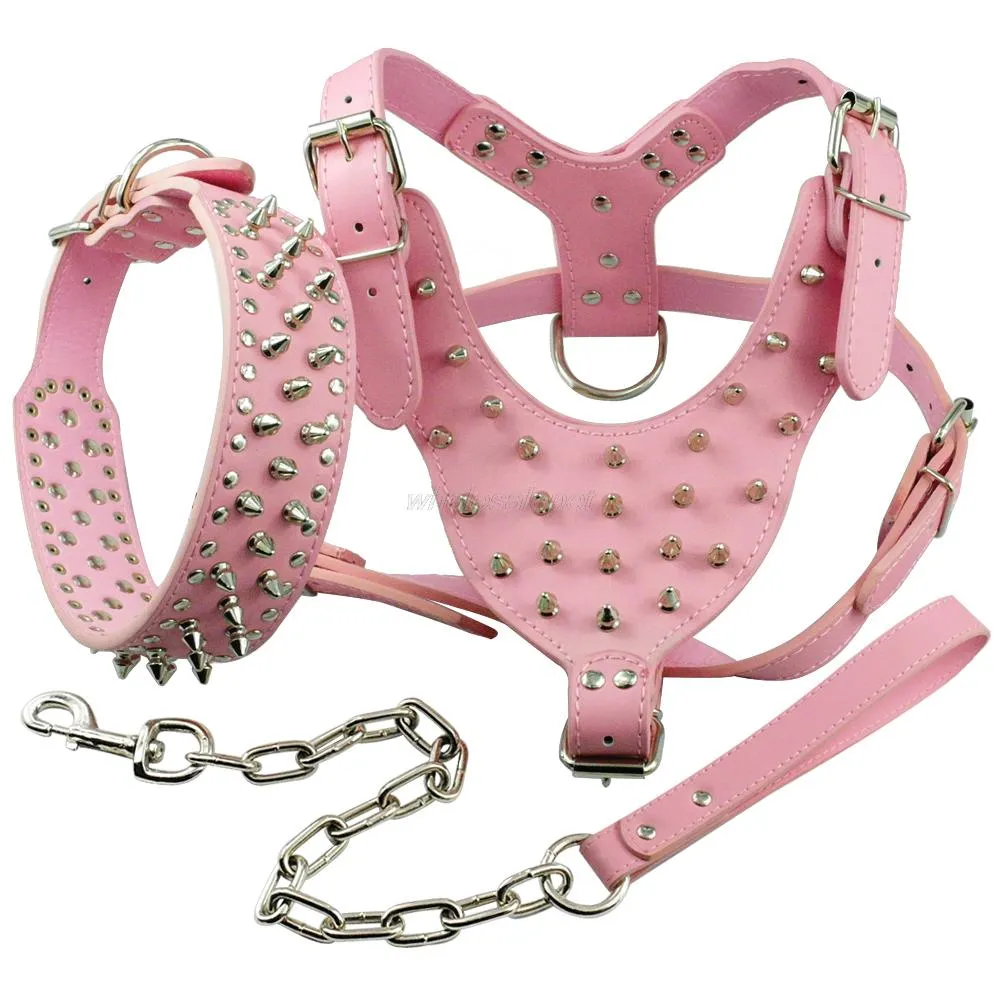 Black Golden Dog Harness Leather