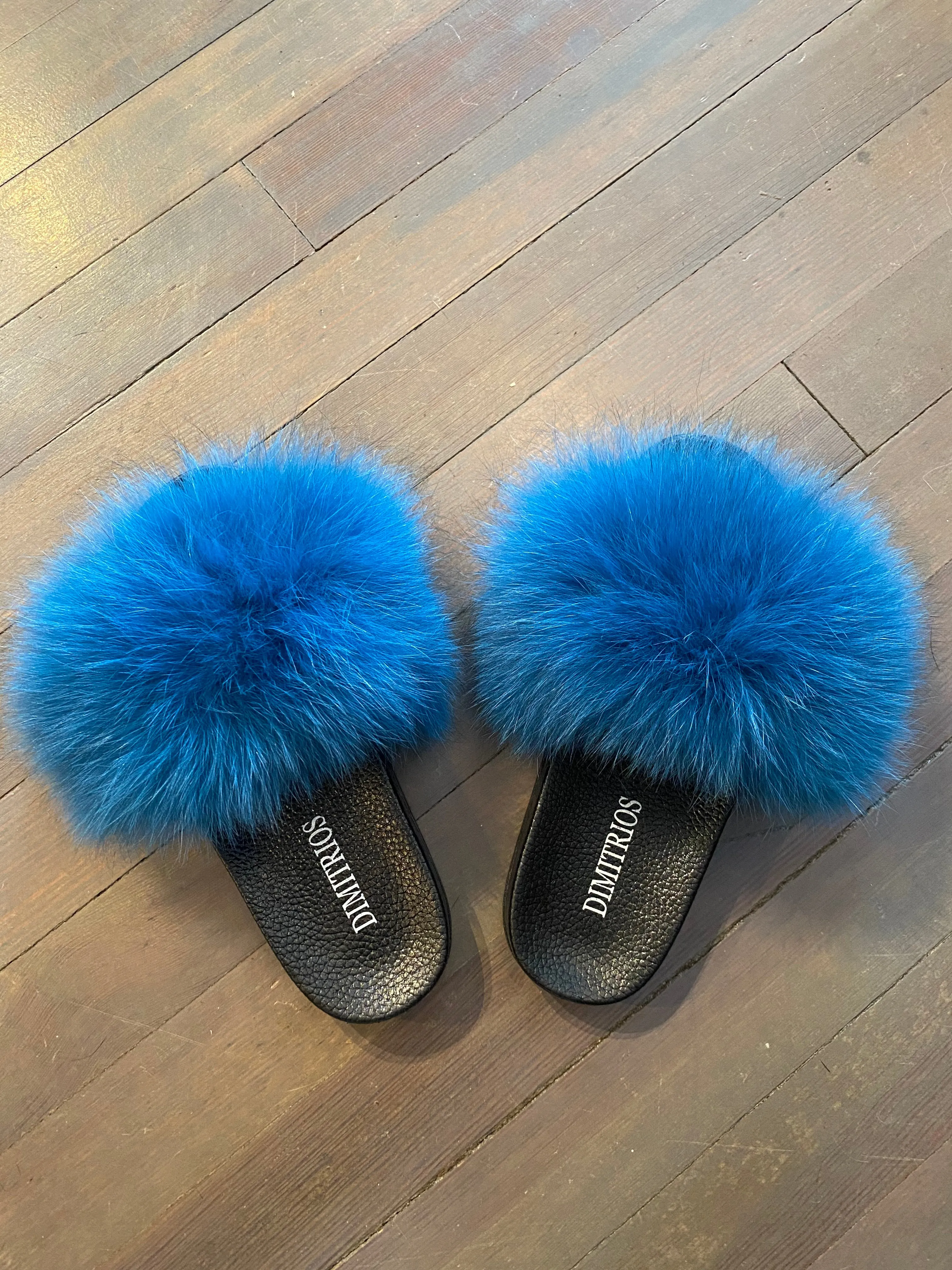 Blue Fox Slides