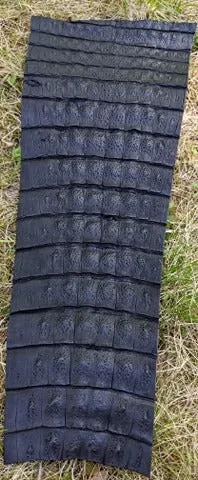 Caimon tail