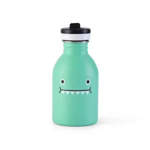 Noodoll Stainless Steel Bottle - Ricedino Dinosaur - Green