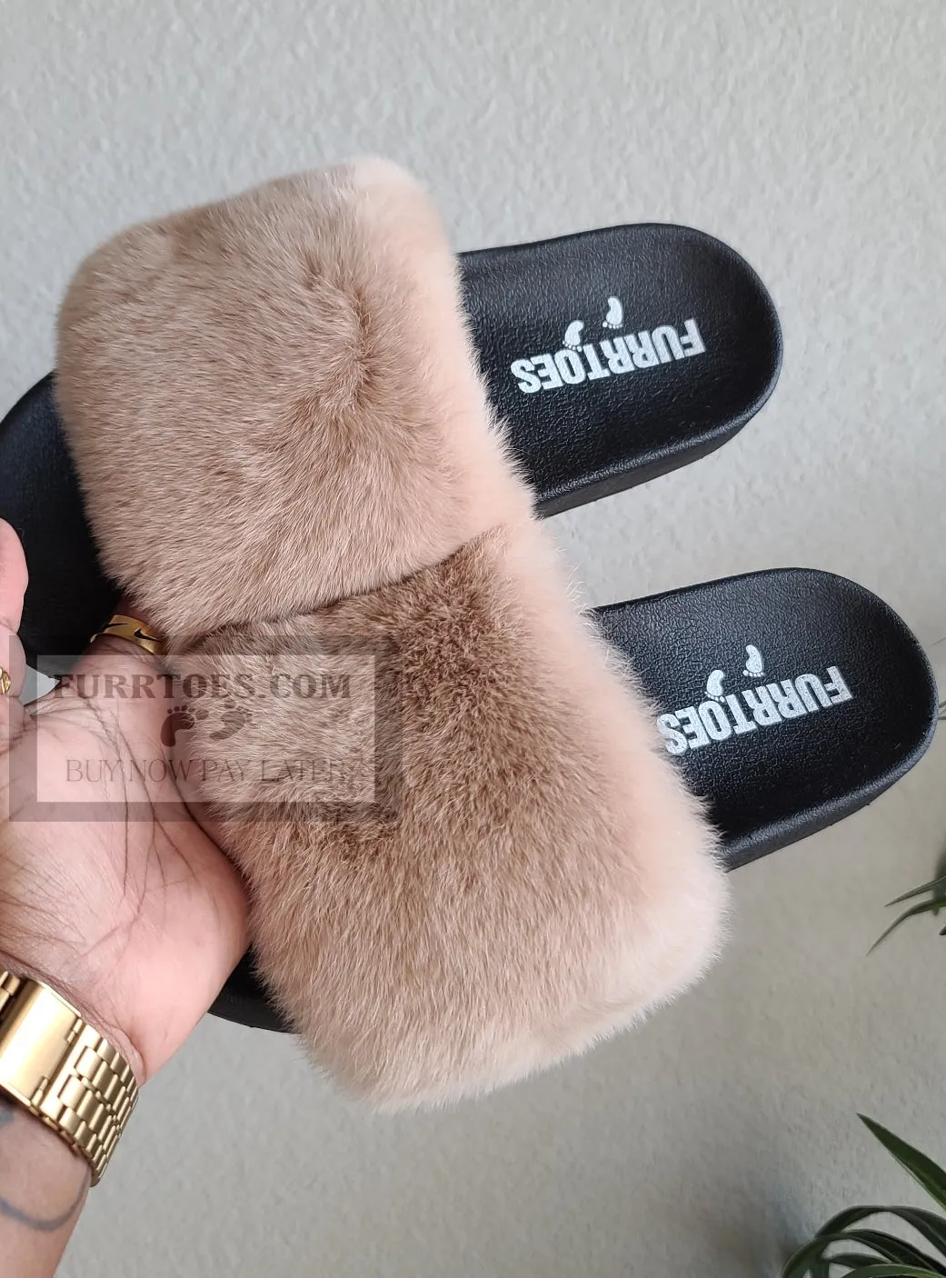 Tan Slides